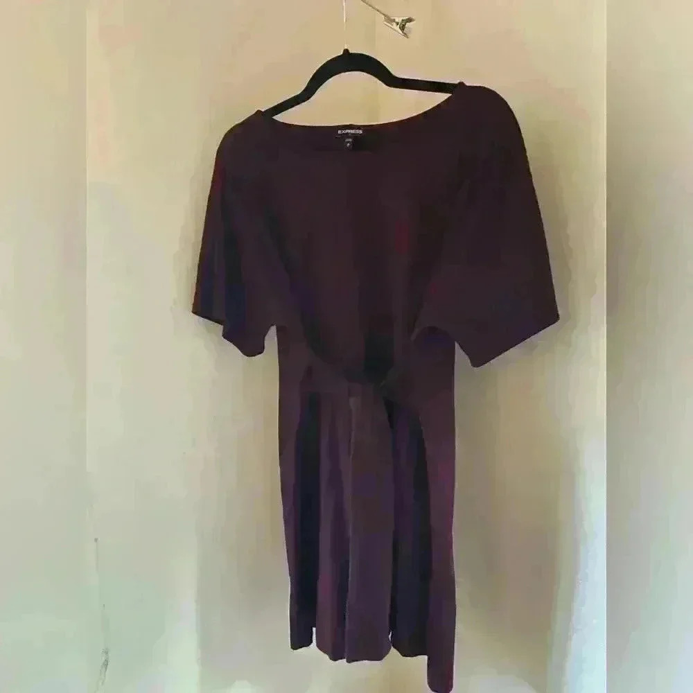 Express Front-Tie Eggplant Dress